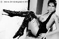 Foto Alessandra Argento Annunci Transescort San Paolo 388 4429122 - 33