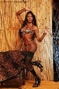 Foto Alessandra La Gatta Nera Annunci Transescort Vercelli 348 8811524 - 47