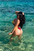 Foto Alessandre Xxii Annunci Trans Gallarate 331 7852006 - 39