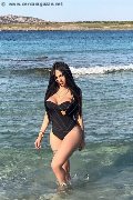Foto Alessandra Xxii Annunci Transescort Gallarate 331 7852006 - 68
