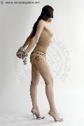 Foto Ana Italiana Annunci Transescort Milano 340 2666113 - 67