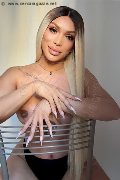 Foto Angel Bunny Annunci Trans Milano 347 4642611 - 1
