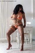 Foto Anita Annunci Escort Pesaro 366 7404557 - 1