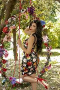 Foto Ariadna Annunci Trans Bologna 388 7519396 - 76