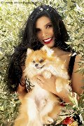 Foto Ariadna Annunci Transescort Bologna 388 7519396 - 76