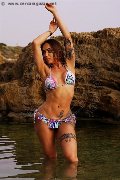Foto Bambola Annunci Trans Sassari 331 3258034 - 3