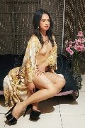 Foto Biancaladyboy Annunci Transescort Pordenone 393 2233064 - 37