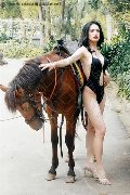 Foto Biancaladyboy Annunci Transescort Pordenone 393 2233064 - 6