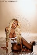 Foto Campbell Annunci Trans Padova 393 3357541 - 95