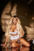 Foto Campbell Annunci Trans Padova 393 3357541 - 100