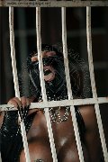 Foto Campbell Annunci Transescort Padova 393 3357541 - 148