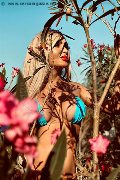 Foto Chrystal Medeiros Pornostar Annunci Transescort Roma 389 8313619 - 35