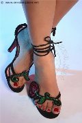 Foto Cinzia Doll Annunci Escort Bolzano 388 9962021 - 15