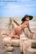 Foto Diana Marini Annunci Transescort Quartucciu 328 0291220 - 56