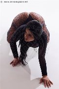 Foto Erika Annunci Escort Avellino 338 5964983 - 17