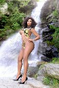 Foto Estrella Annunci Transescort Torino 380 1783164 - 85