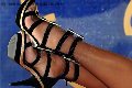 Foto Eva B  Annunci Transescort Milano 320 0397565 - 213