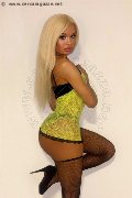 Foto Evelyn Domenicana Annunci Transescort Cuneo 351 6154564 - 9