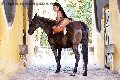 Foto Gabriella Xxl Brasile Annunci Transescort Milano 329 2213799 - 70
