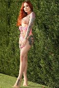 Foto Gaby Manzini Annunci Trans Milano 393 1497296 - 135