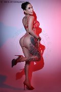 Foto Gaby Manzini Annunci Transescort Milano 393 1497296 - 66