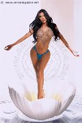 Foto Graziella Farias Annunci Trans Ospitaletto 351 5874125 - 3