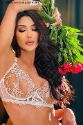 Foto Graziella Farias Annunci Trans Ospitaletto 351 5874125 - 35