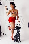 Foto Graziella Farias Annunci Transescort Ospitaletto 351 5874125 - 46
