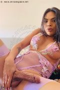 Foto Hot Roberta Maliziosa Annunci Transescort Alba Adriatica 391 1614049 - 1