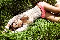Foto Isabella Dumond Annunci Trans Reggio Emilia 346 5245916 - 160