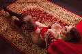 Foto Isabella Santos Annunci Trans Roma 338 1521054 - 43