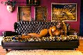 Foto Jessica Aryani Annunci Transescort Brescia 393 2507943 - 18