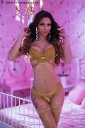 Foto Keylla Marques Pornostar Xxl Annunci Transescort Fortaleza 333 7112655 - 64