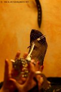 Foto Lady De Sade Italy Annunci Mistress Marina Di Carrara 339 2160761 - 6