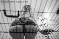Foto Lady Giuliette Annunci Mistress Verona 348 6833721 - 16