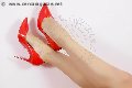 Foto Lady Shayla Annunci Mistress Cremona 344 5042331 - 5