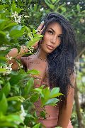 Foto Mandy Asiatica Annunci Transescort Parma 327 0531479 - 2