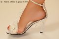 Foto Martina Hot Annunci Escort Verbania 331 8860809 - 61