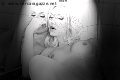 Foto Mary Ts Annunci Trans Francoforte 0049 1751281117 - 7