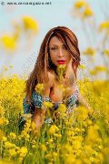Foto Monica Kicelly Annunci Transescort Firenze 324 5833097 - 202