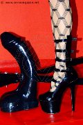Foto Nadja Shark Annunci Mistress Budapest 0036 204358279 - 85