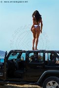 Foto Nauana Lima Pornostar Annunci Transescort Milano 393 6529793 - 215