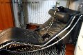 Foto Padrona Stefania Annunci Mistresstrans Milano 331 4881428 - 10
