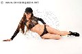 Foto Pamy La Diva Stellare Annunci Transescort Villorba 324 7819703 - 288