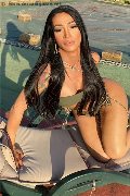 Foto Patricia Ginnari Annunci Trans Civitanova Marche 331 8443032 - 1