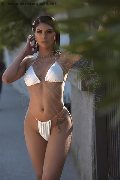Foto Paula Bituschini Annunci Trans Brescia 389 8857998 - 114