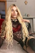 Foto Rafaella Menicucci Xxl Annunci Transescort Milano 331 1310618 - 175