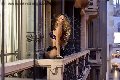 Foto Rayca Annunci Transescort San Gallo 348 5638746 - 236