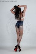 Foto Safira Snt'z  Annunci Trans Alba Adriatica 327 8243596 - 49