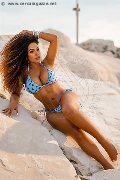 Foto Sandra Ravach Annunci Transescort Reggio Emilia 334 1547195 - 10